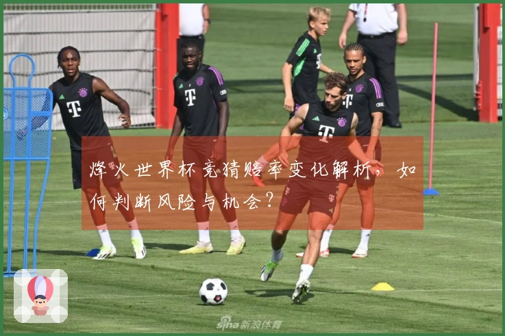 烽火世界杯竞猜赔率变化解析，如何判断风险与机会？