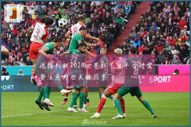 选择判断2026世界杯下注平台时需要注意哪些关键因素