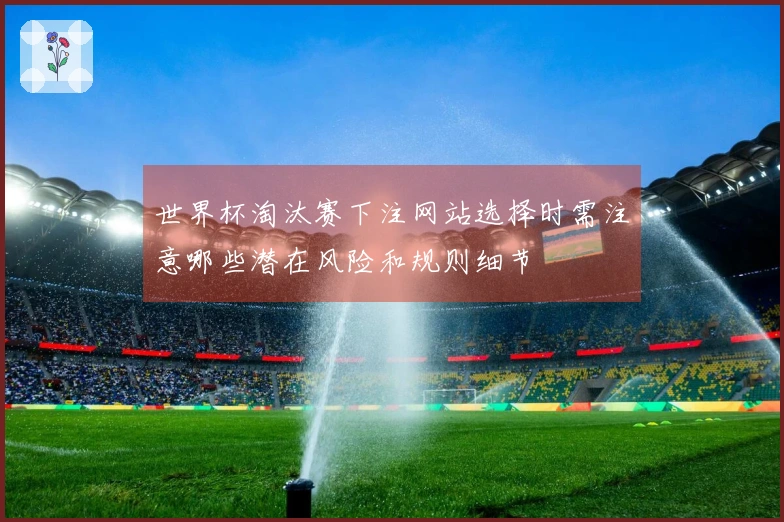 世界杯淘汰赛下注网站选择时需注意哪些潜在风险和规则细节