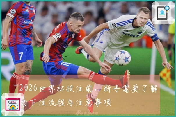 2026世界杯投注前，新手需要了解的下注流程与注意事项