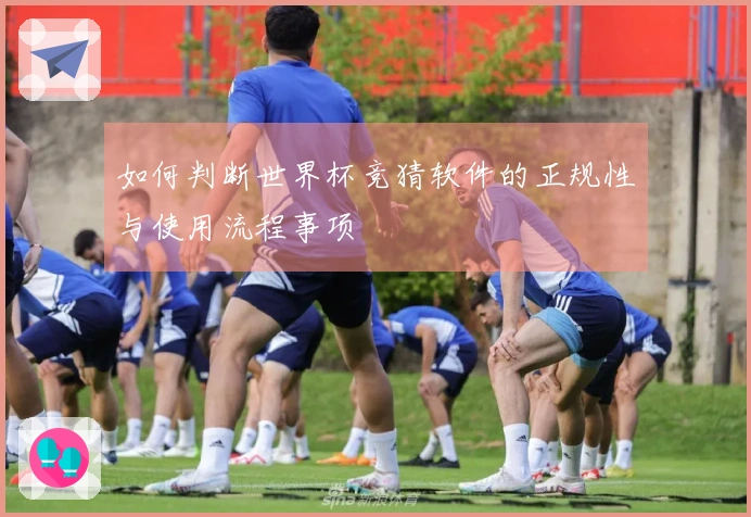 如何判断世界杯竞猜软件的正规性与使用流程事项