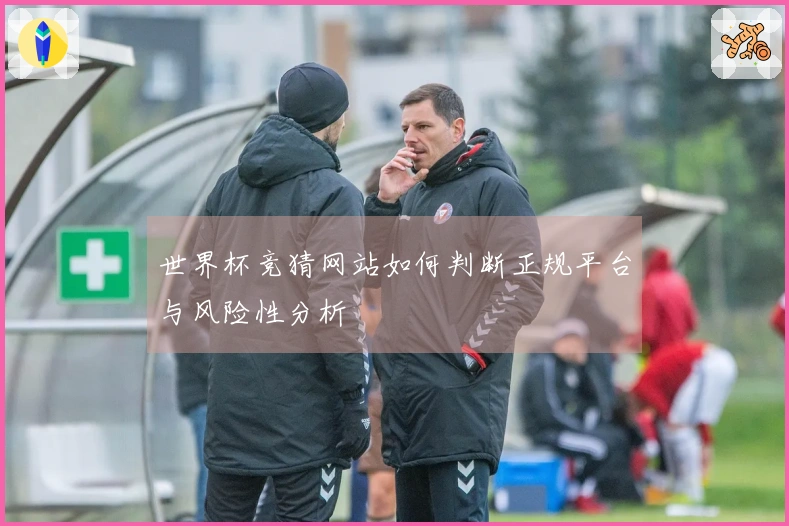 世界杯竞猜网站如何判断正规平台与风险性分析