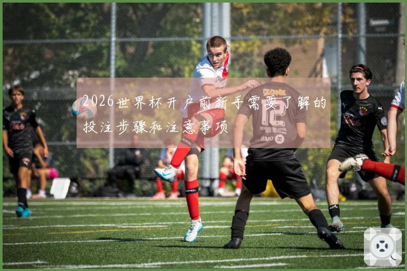 2026世界杯开户前新手需要了解的投注步骤和注意事项