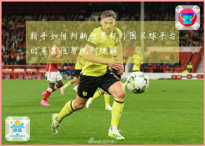 新手如何判断世界杯外围买球平台的可靠性与规则理解
