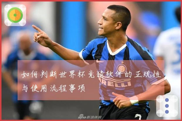 如何判断世界杯竞猜软件的正规性与使用流程事项
