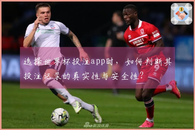 选择世界杯投注app时，如何判断其投注记录的真实性与安全性？