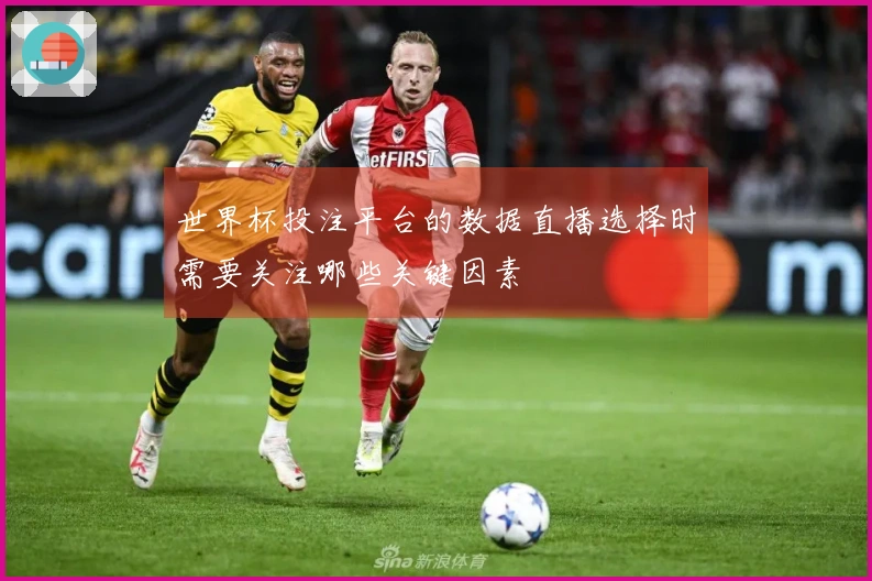 世界杯投注平台的数据直播选择时需要关注哪些关键因素