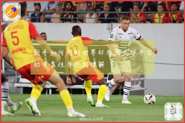 新手如何判断世界杯外围买球平台的可靠性与规则理解