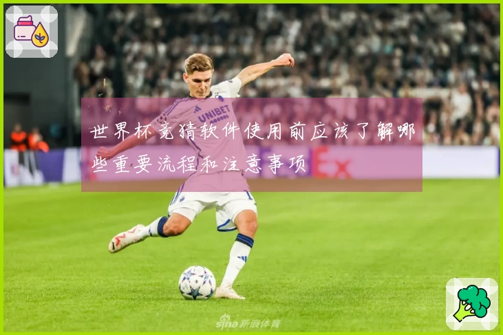 世界杯竞猜软件使用前应该了解哪些重要流程和注意事项