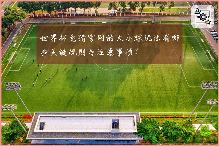世界杯竞猜官网的大小球玩法有哪些关键规则与注意事项？