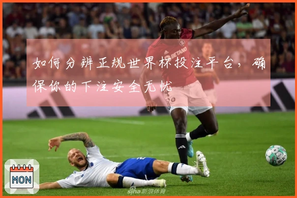 如何分辨正规世界杯投注平台,确保你的下注安全无忧