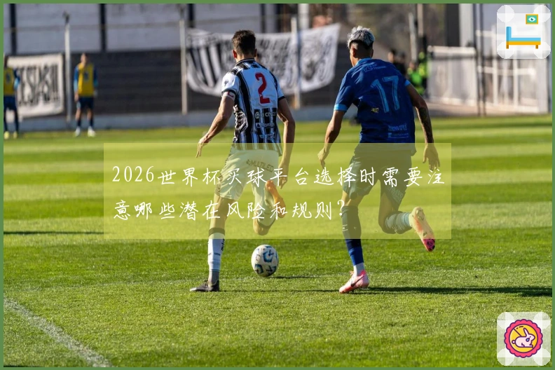 2026世界杯买球平台选择时需要注意哪些潜在风险和规则？