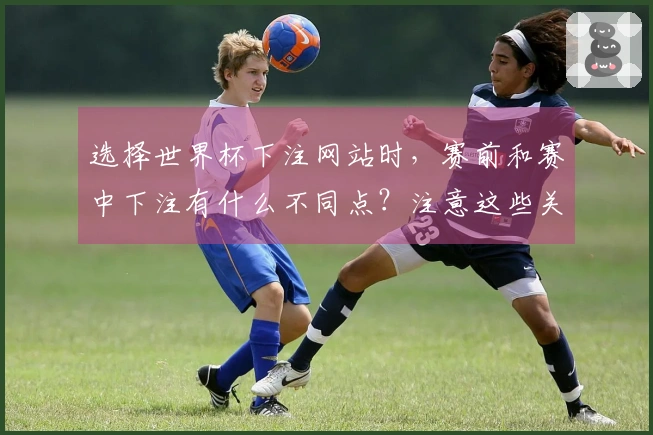 选择世界杯下注网站时,赛前和赛中下注有什么不同点?注意这些关键事项!