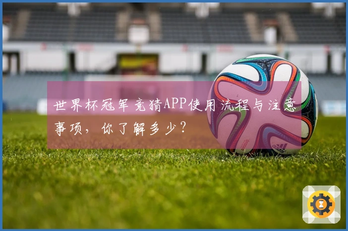 世界杯冠军竞猜APP使用流程与注意事项,你了解多少?