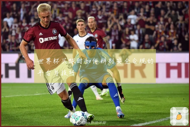 世界杯买球时如何辨别安全合规的平台与技巧