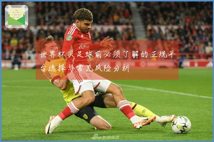 世界杯买足球前必须了解的正规平台选择与常见风险分析