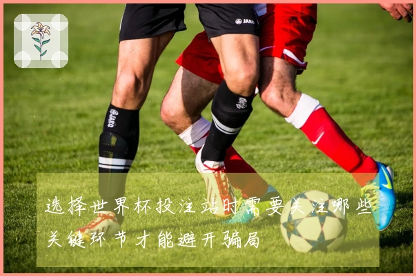 选择世界杯投注站时需要关注哪些关键环节才能避开骗局