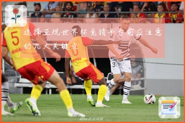 选择正规世界杯竞猜平台前应注意的几大关键点
