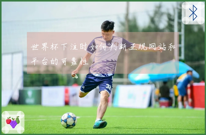 世界杯下注时如何判断正规网站和平台的可靠性