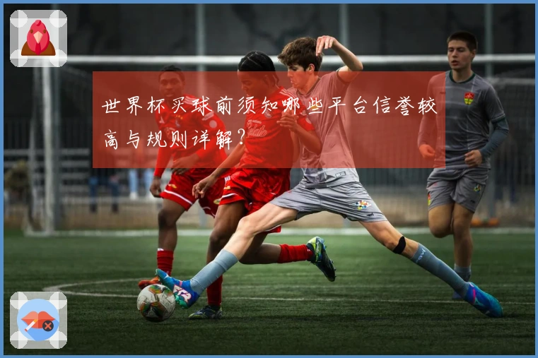 世界杯买球前须知哪些平台信誉较高与规则详解？