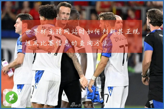世界杯竞猜网站时如何判断其正规性及比赛信息的查询方法