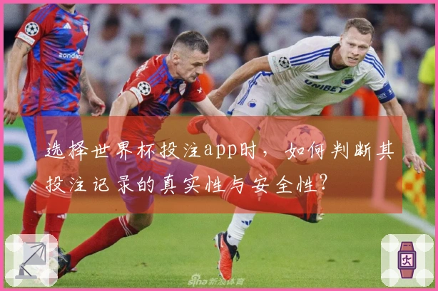 选择世界杯投注app时,如何判断其投注记录的真实性与安全性?