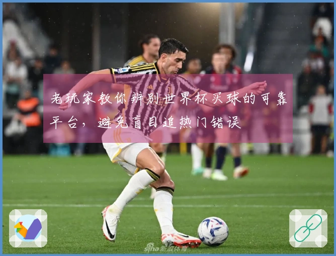 老玩家教你辨别世界杯买球的可靠平台,避免盲目追热门错误