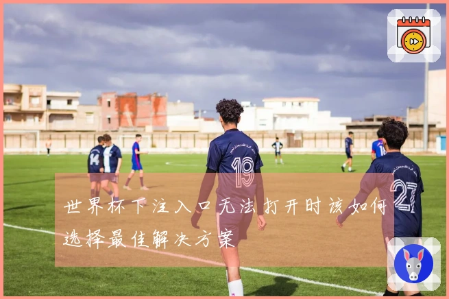 世界杯下注入口无法打开时该如何选择最佳解决方案