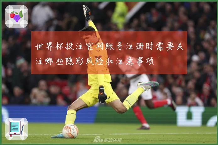世界杯投注官网账号注册时需要关注哪些隐形风险和注意事项