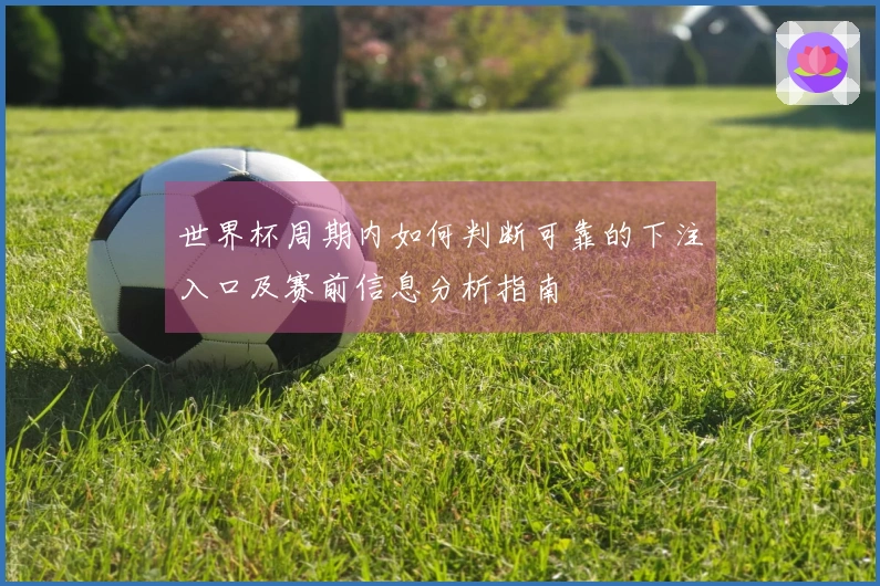 世界杯周期内如何判断可靠的下注入口及赛前信息分析指南