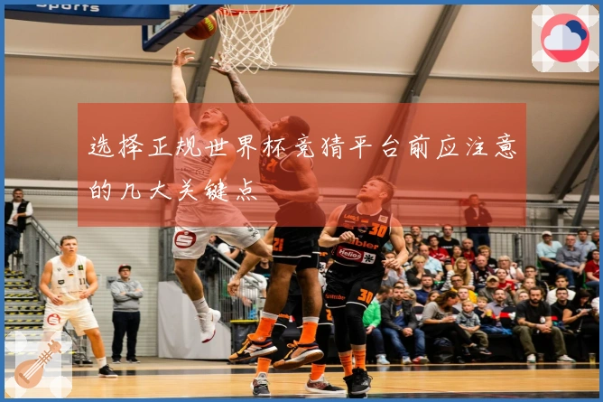 选择正规世界杯竞猜平台前应注意的几大关键点