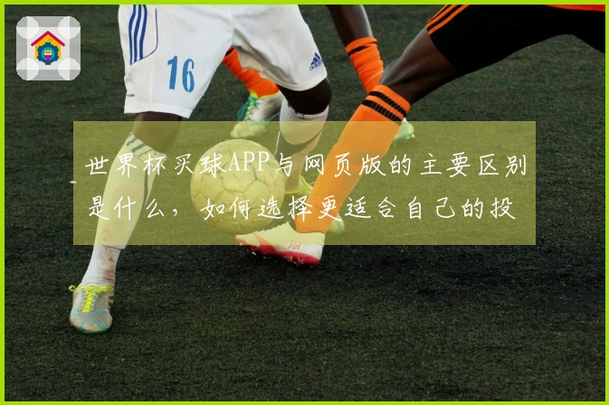 世界杯买球APP与网页版的主要区别是什么，如何选择更适合自己的投注方式？