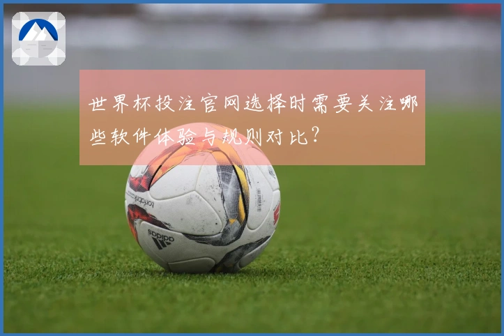 世界杯投注官网选择时需要关注哪些软件体验与规则对比？
